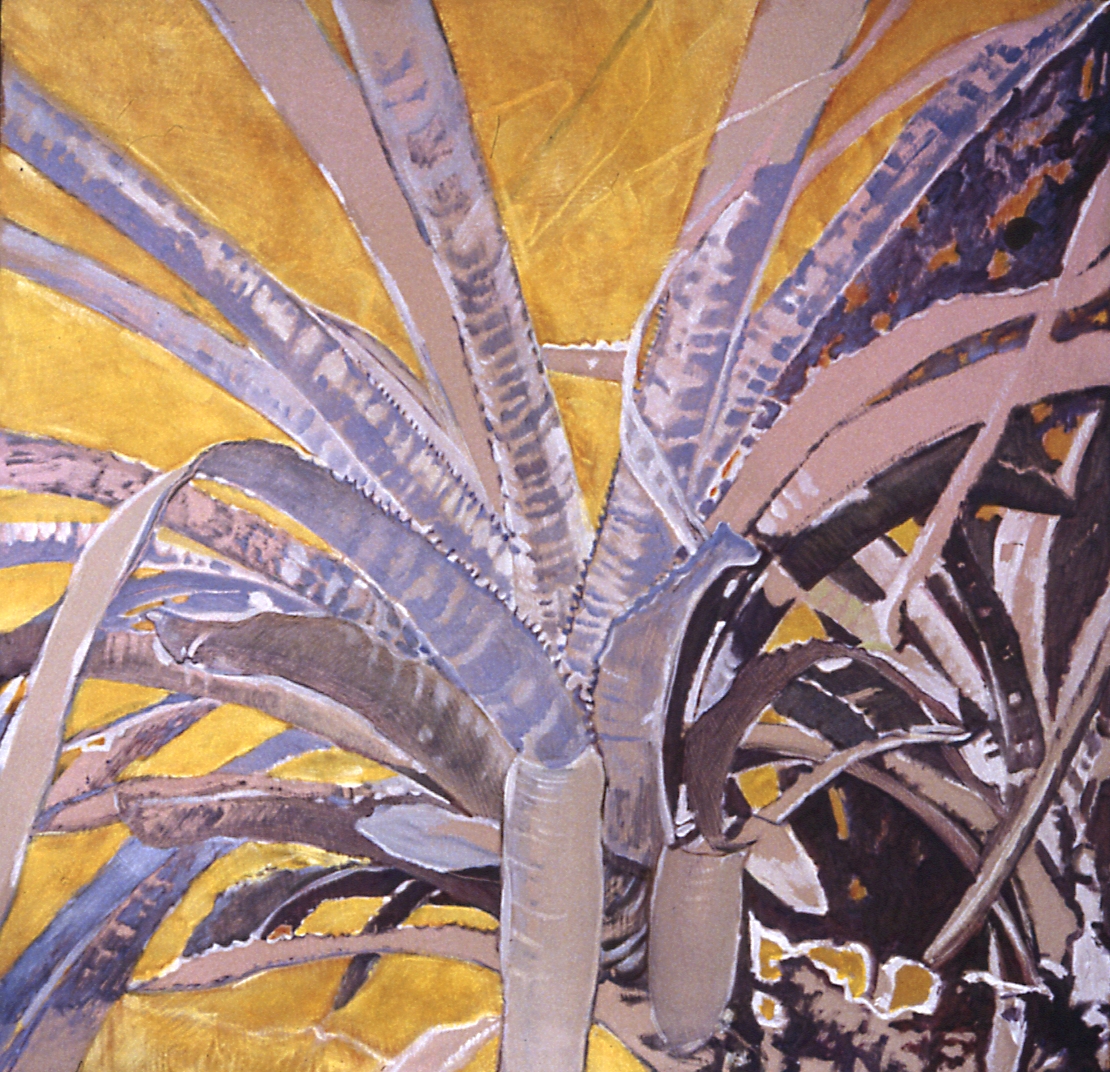 PAINTINGS - CARROT TOPS